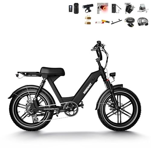 Himiway Escape Pro Electric Bike for Adults, 750W Motor, 20″x4″ Fat Tires E-Bike,30-50Mi, Moped-Style Step-Thru Electric Bicycle with 48V 17.5Ah Battery 25 MPH 7-Speed System
