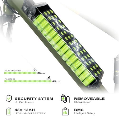 Electric Bike, 26″ 4.0 Fat tire 750W Ebike for Adults, Mountain E Bike for Men Women, 48V 13Ah Removable Li-Ion Battery…