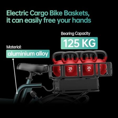 Electric Ebikes for Adults with 48V 30Ah Dual Batteries, Cargo Electric Bike for Adults with 750W Brushless Motor, Electric Bicycles for Men, Women, Commuter, Travel, Outdoor, Camping