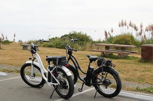 Beach Cruiser E-Bike 1050W Pack Watts Motor 48V/768WH Lithium Battery 26”x4.0 Fat Tire Max Speed 28m/h Step-Thru M5 Larger Size Display 7 Gears for Adults - Image 3