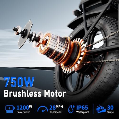 Electric Bike, 100 Miles 50Ah Ebike for Adult, 750W 30MPH, 20”X3” Tire E Bike, Dual Shock Absorber Commuter Bike with 2 Seat - Image 6