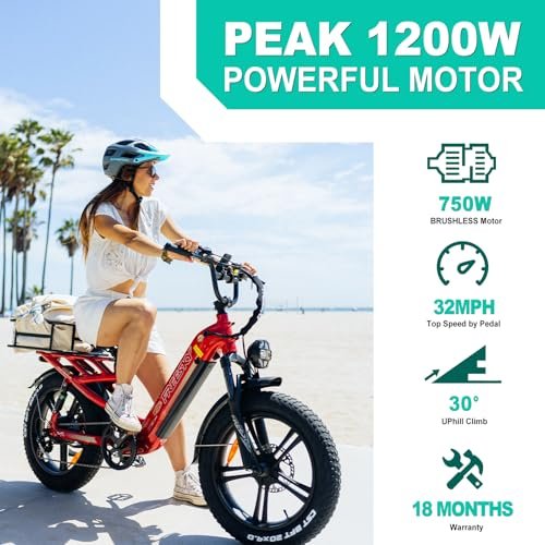 FREESKY Electric Bike for Adults Peak 1200W Motor 48V 20AH Battery with Samsung Cell Step Thru City Ebike up to 32MPH& 90Miles Hydralic Brakes Fat Tires Full Suspension Ebike Upgrade NFC System