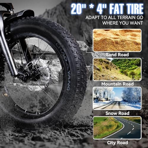 Electric Trike Adults 750W Motor 20″ Fat Tire 3 Wheel Electric Bike Dual Removable Batteries Adult Electric Tricycle 50 Miles Range Electric Cargo Bike for Seniors Women Men Outdoor Beach Snow