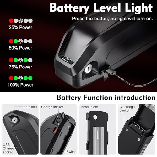 48V eBike Battery 20Ah Lithium-ion Battery for Electric Bike, Integrated with 30A BMS and USB-A Port, Charger Included