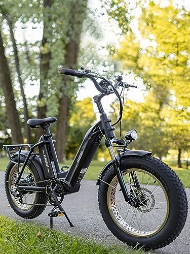 HAOQI Antelope Black Electric Bike for Adults 48V 25AH Removable Dual Lithium Battery, 750W Motor, 20″ x 4.0 Fat Tire Step-Thru Ebike up to 28MPH, 7-Speed - Image 4
