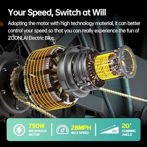 Electric Ebikes for Adults with 48V 30Ah Dual Batteries, Cargo Electric Bike for Adults with 750W Brushless Motor, Electric Bicycles for Men, Women, Commuter, Travel, Outdoor, Camping - Image 6