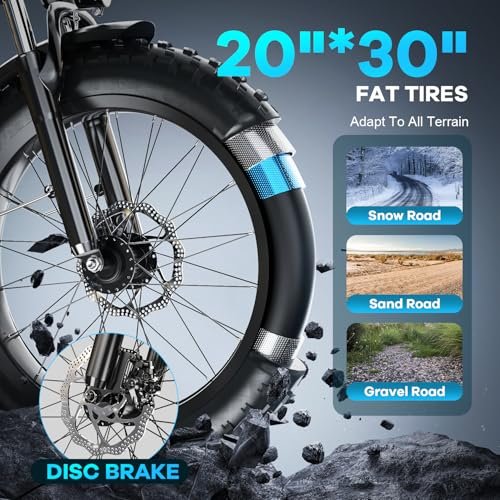 Electric Bike for Adults,with Peak 1000W Motor,Detachable Lithium Battery 48V20AH,Up to 30MPH,Endurance 80Mile,20″x3.0 Fat Tire Commute Mountain Beach Snow Bicycles,Electric eBike with 7-Speed