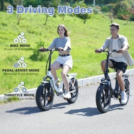 EVERCROSS EK6 Electric Bike 20″ x 4.0 Fat Tire Foldable E Bike with 48V 15Ah Removable Battery, 750W Mountain Adult Electric Bicycle with 7 Gears, 55-100KM Long Mileage