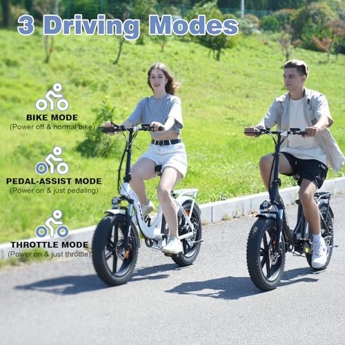 EVERCROSS EK6 Electric Bike 20″ x 4.0 Fat Tire Foldable E Bike with 48V 15Ah Removable Battery, 750W Mountain Adult Electric Bicycle with 7 Gears, 55-100KM Long Mileage