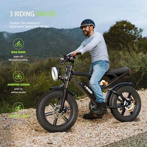 Electric Bike for Adults, 1000W (Peak 1500W) Brushless Motor 48V 15Ah 28MPH / 68 Miles, 20″ Fat Tire Ebike with 7 Speed Dual Suspension for Mountains, Gravel, Snow, Sand, Road