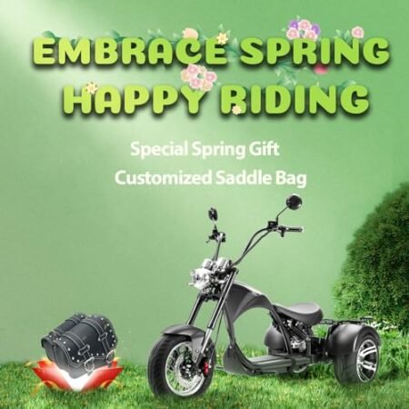 eAhora M1P Electric Trike for Adults, 2000W Brushless Motor 26MPH Electric Tricycle,60V 30AH Fast Charge Battery,F&R Disk Brake, Hydraulics Suspension,3 Wheel Electric Bikes