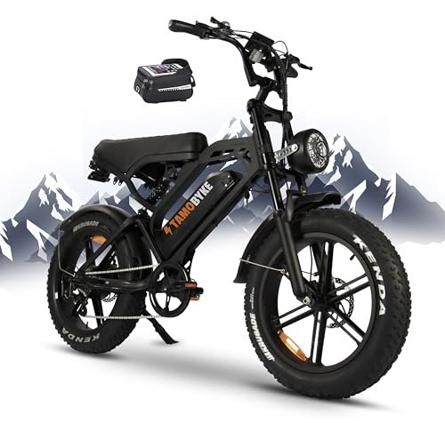 Electric Bike for Adults V20 V20PRO V20T, 1000/1500W 28/32MPH 48V 15/18AH E-Bike,20″ x4.0 Fat Tire Electric Dirt Bike, Hydraulic/Disc Brake Full Suspension Electric Motorcycle