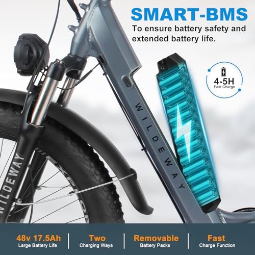 26″ Fat Tire Electric Bike 48V 17.5Ah Battery, 750W Mountain Electric Bicycle City Urban Commuter E Bike for Adults Men Women Long Range 30MPH 7-Speed Gears Color Dispaly with 2 Seat
