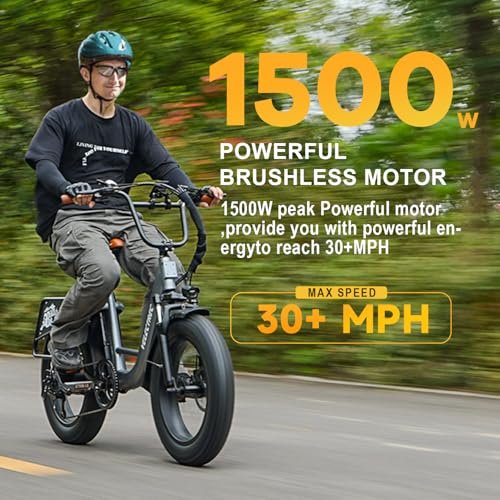 1500W Peak Electric Bike for Adults, 48V 20Ah Removable Battery Max Range 80Miles & 30MPH Electric Bicycle, 20”×4.0″ Fat Tire Ebike,Fast Cargo Ebikes,Commute Mountain E-Bike UL Certified