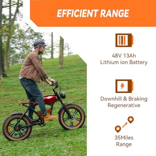 HIDOES B10 Cowboy Style Electric Bike for Adult 1000w Brushless Motor 48V 13AH Battery, 20″×4’Fat Tires Double Brake System 35Miles Max Range 37MPH Max Speed Beach Mountain Off Road Electric Bicycle