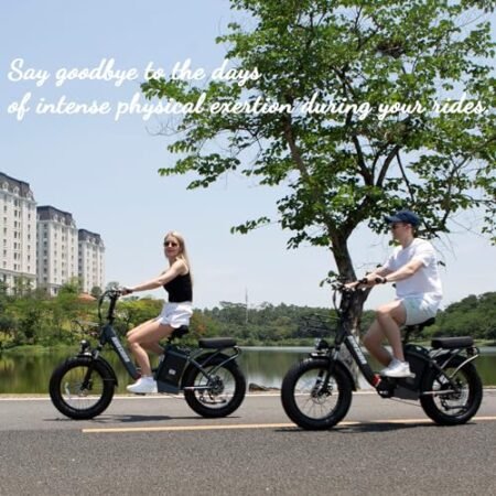 Electric Bike Adults, 100Miles & 48V 32AH Long Range Ebike Full Suspension Electric Bike 800W, 20’’ x 4.0’’ Fat Tire E Bike for Women Men, Class 2 Commuter Ebike & Dual Disc Brakes