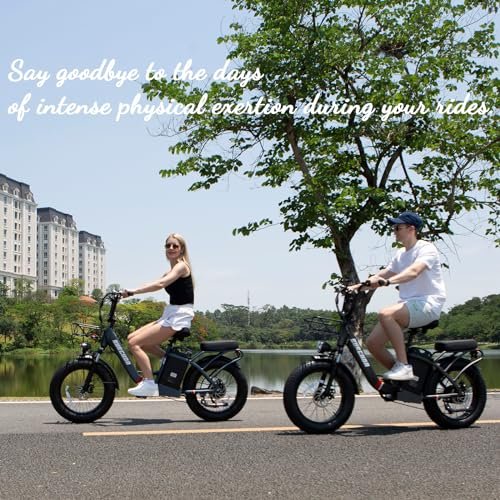 Electric Bike Adults, 100Miles & 48V 32AH Long Range Ebike Full Suspension Electric Bike 800W, 20’’ x 4.0’’ Fat Tire E Bike for Women Men, Class 2 Commuter Ebike & Dual Disc Brakes