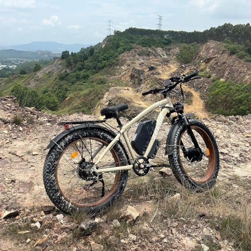 Electric Bike for Adults,Dual Motor AWD 2000W(Peak 3000W) Removable 48V/22.4AH Battery E-Bike 26’*4.0′ Fat Tire Electric Bicycle with 7 Speed - Image 4