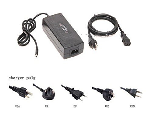 NBPOWER USA Warehouse !!!48 Volt 13Ah Ebike Lithium ion Dolphin Battery Pack USB with 18650 Cell for Electric Bicycle