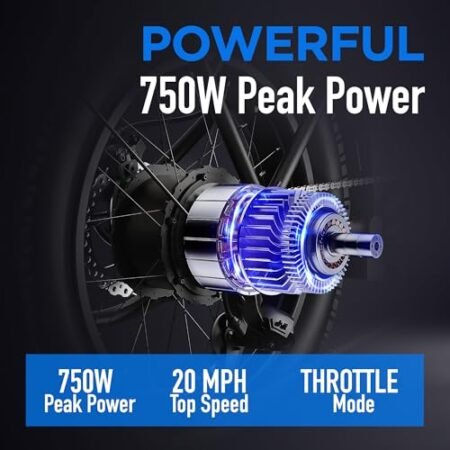 Totem Fat Tire Foldable Electric Bike-Folding E Bike for Adults 750W Peak Motor-20″x4.0″ Fat Tire for Woodland,Mountain,Beach,Snow-48V Removable Battery-Speed 20MPH-Max Range 40+ Mile