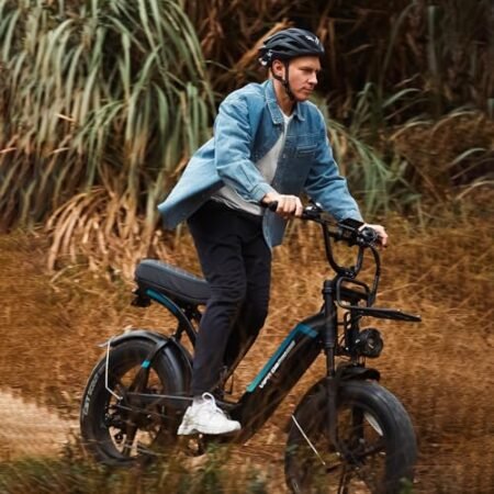 OUXI Electric Bike for Adults, Q8 Electric Bike with 750W Motor 48V 20Ah Removable Battery, 20”x 4.0 Fat Tire Electric Bike, 31MPH Commuter E Bike, Hydraulic Brake, 7 Speed, Electric Mountain Bike