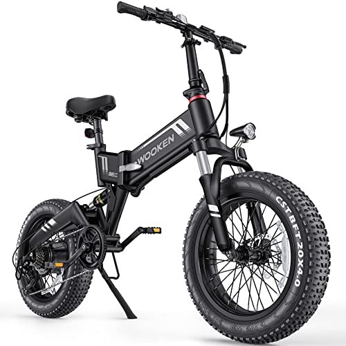 TotGuard Electric Bike, 20″ Electric Bike for Adults 500W Brushless Motor (Peak 750W), 20MPH Fat Tire Ebike, Foldable Adult Electric Bicycles with 48V 10Ah Removable Battery, Professional 7-Speed