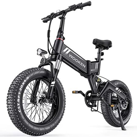 Wooken Electric Bike, 20”X4.0 Fat Tire Electric Bike for Adults,500W(Peak 750W) Foldable Electric Bike with 48V 10Ah Battery,Professional 7 Speed,Shock Absorber, 20MPH Ebike for Mountain Beach Snow