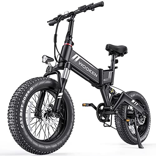 Wooken Electric Bike, 20”X4.0 Fat Tire Electric Bike for Adults,500W(Peak 750W) Foldable Electric Bike with 48V 10Ah Battery,Professional 7 Speed,Shock Absorber, 20MPH Ebike for Mountain Beach Snow