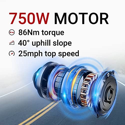 Himiway Big Dog 20X4” Fat Tire Electric Bike Cargo Ebike 750W 48V 20Ah Removable Battery